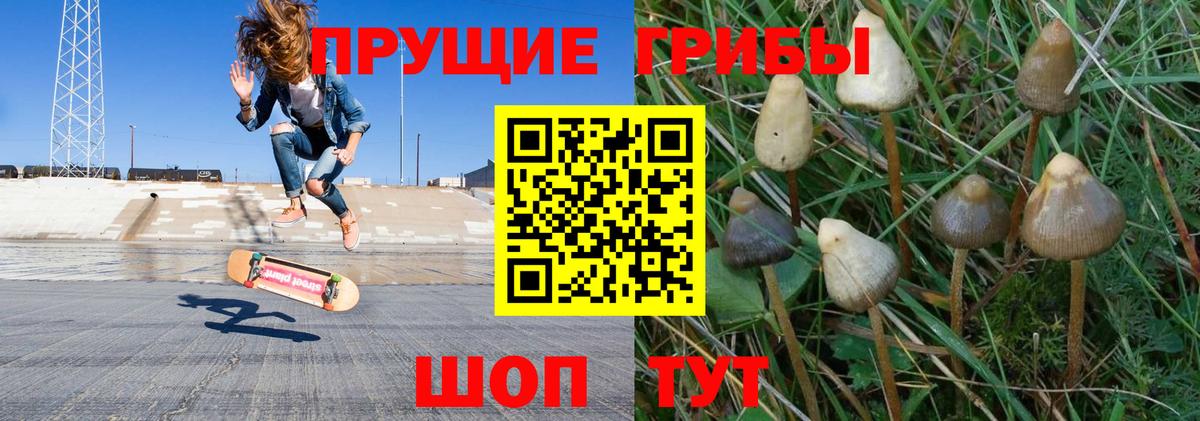 Псилоцибиновые грибы MAGIC MUSHROOMS Ликино-Дулёво